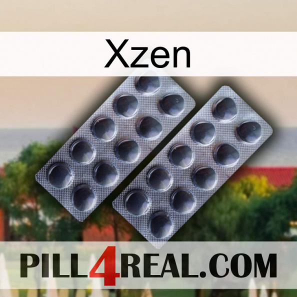 Xzen 31.jpg